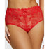 Arum Prima Mid Rise Sheer Stretch Lace Brief