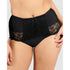 Ariane Lace & Microfiber High Waist Brief