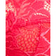 Arum Trend Sheer Lace Longline Balconette Bra - Style Gallery
