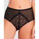 Serena High Waist Tulle & Lace Brief - Style Gallery