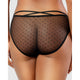 Mia Sheer Mesh & Lace Hipster Brief - Style Gallery